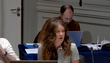 une élue écologiste de Paris accusée d’antisémitisme