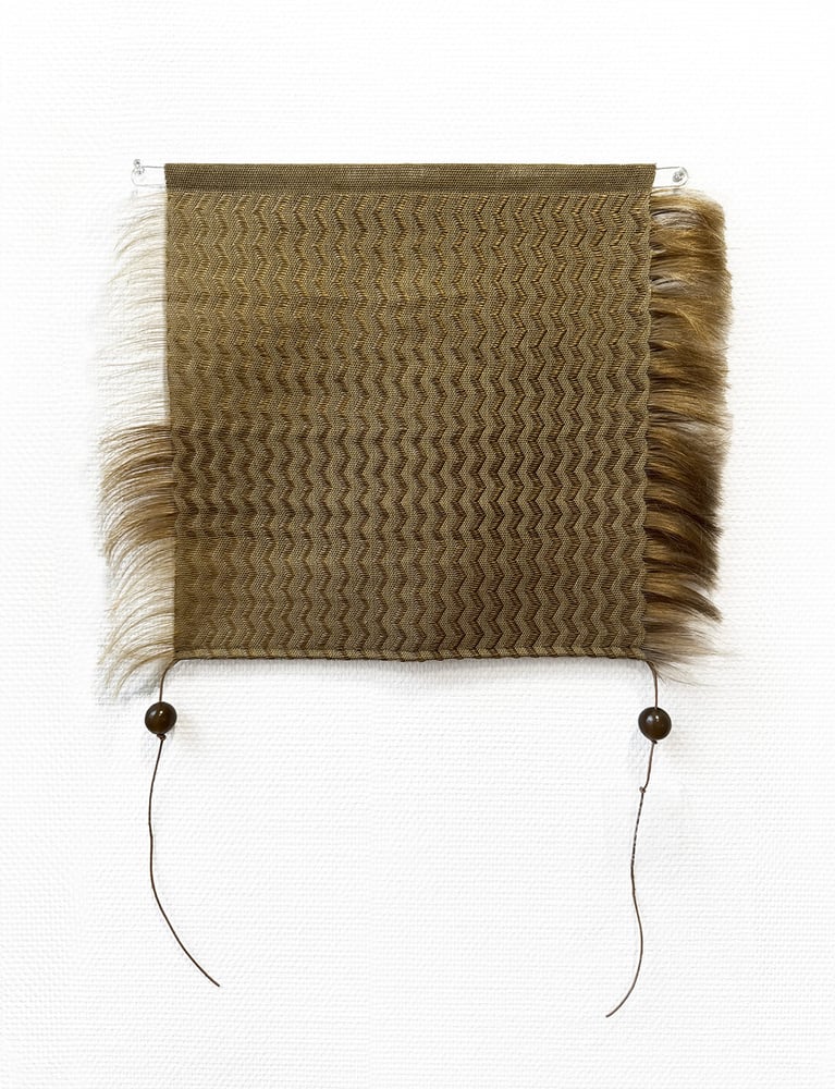 'Monochromes capillaires gris, brun, blond, roux et châtain', œuvre de Antonin Mongin