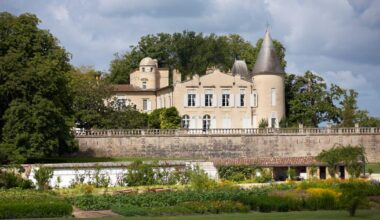 une baisse inédite du prix des vins désormais en vente