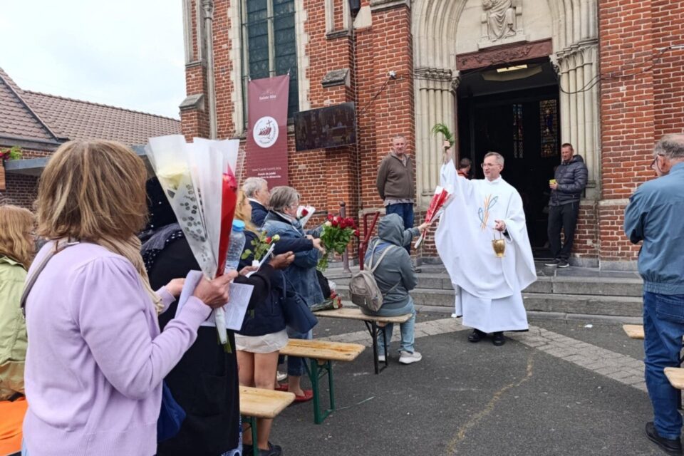 sainte rita vendeville roses