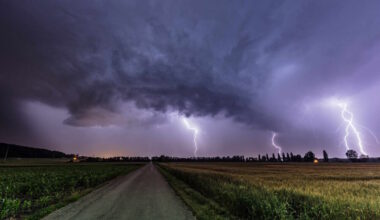Vigilance orages, dispositif spécial pour PSG-Inter Milan, concerts gratuits… l’info à midi en Île-de-France