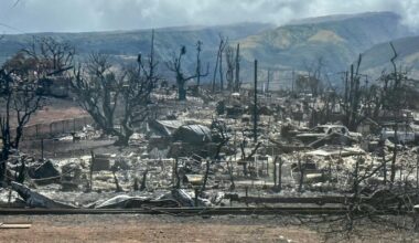 Aux États-Unis, le ministère de la justice attaque les États américains qui veulent faire payer les entreprises polluantes