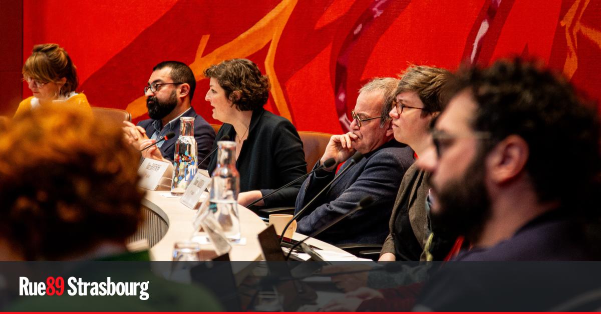 Strasbourg. Les points votés au conseil municipal du 19 mai