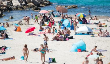 la posidonie utilisée contre l'érosion de plusieurs plages
