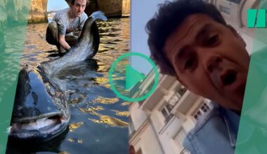 le pêcheur de silure filmé par Jamel Debbouze nous raconte l’envers de cette folle vidéo