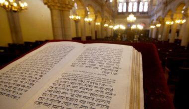 OQTF interpellé avec un cutter dans une synagogue près de Lyon : un simple cambriolage ?