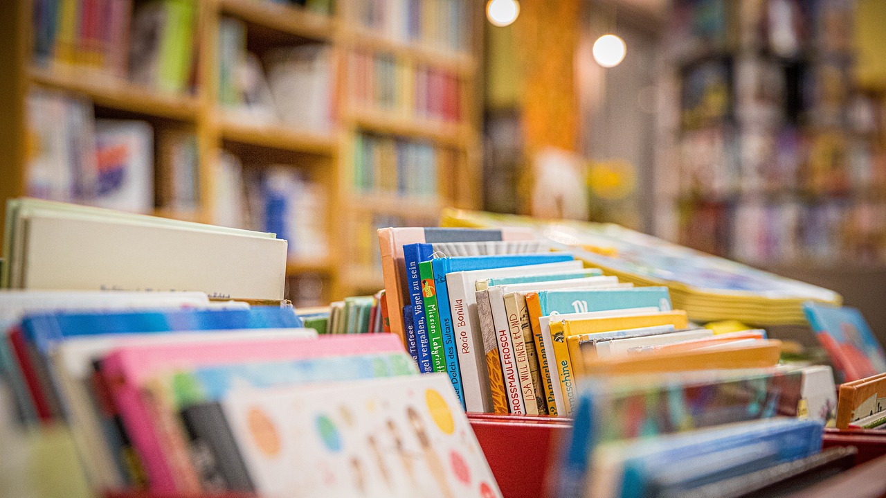 Une grande collecte de livres organisée à Chartres au profit de Bibliothèques Sans Frontières