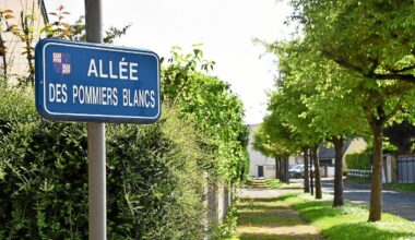 « J’ai eu peur que quelqu’un soit mort » : des coups de feu entendus dans le quartier des Pommiers-blancs à Lamballe