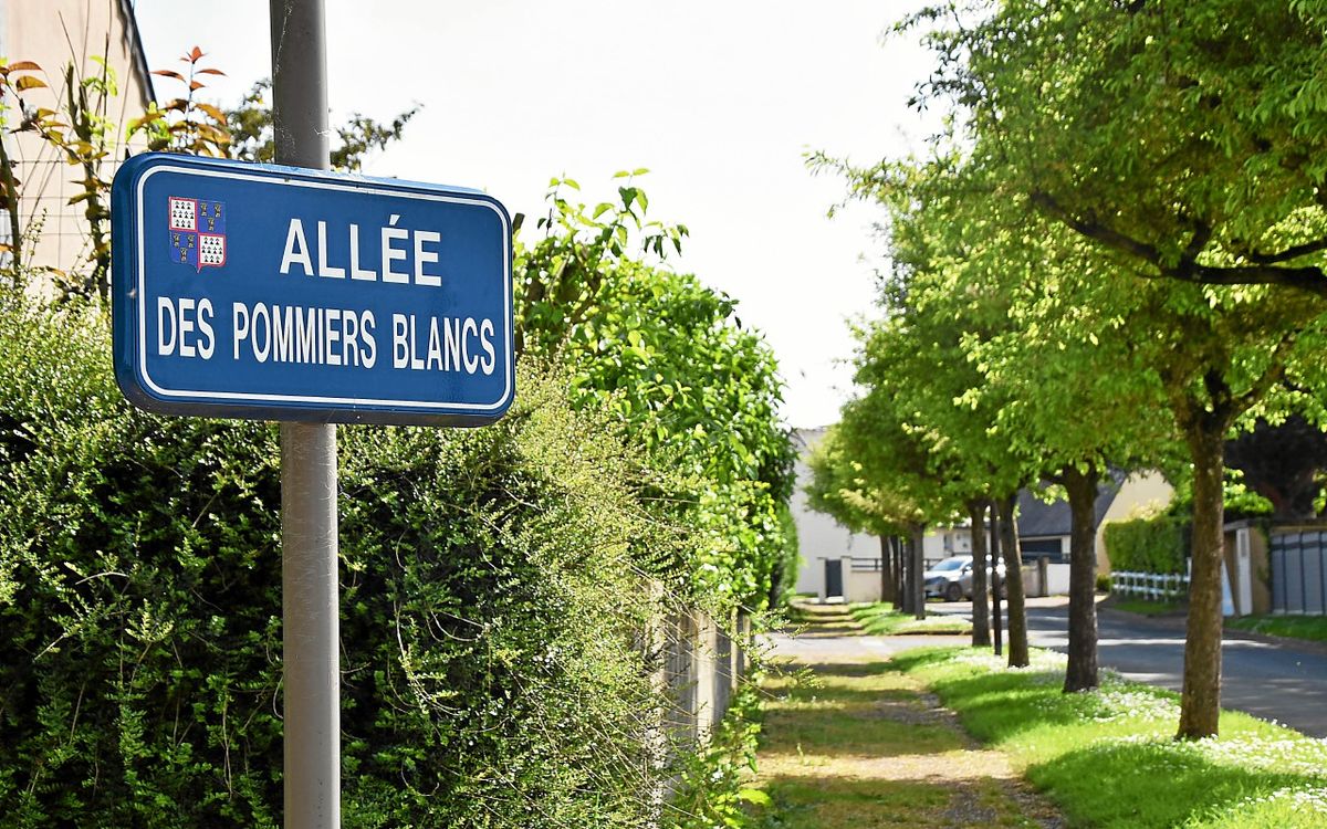 « J’ai eu peur que quelqu’un soit mort » : des coups de feu entendus dans le quartier des Pommiers-blancs à Lamballe