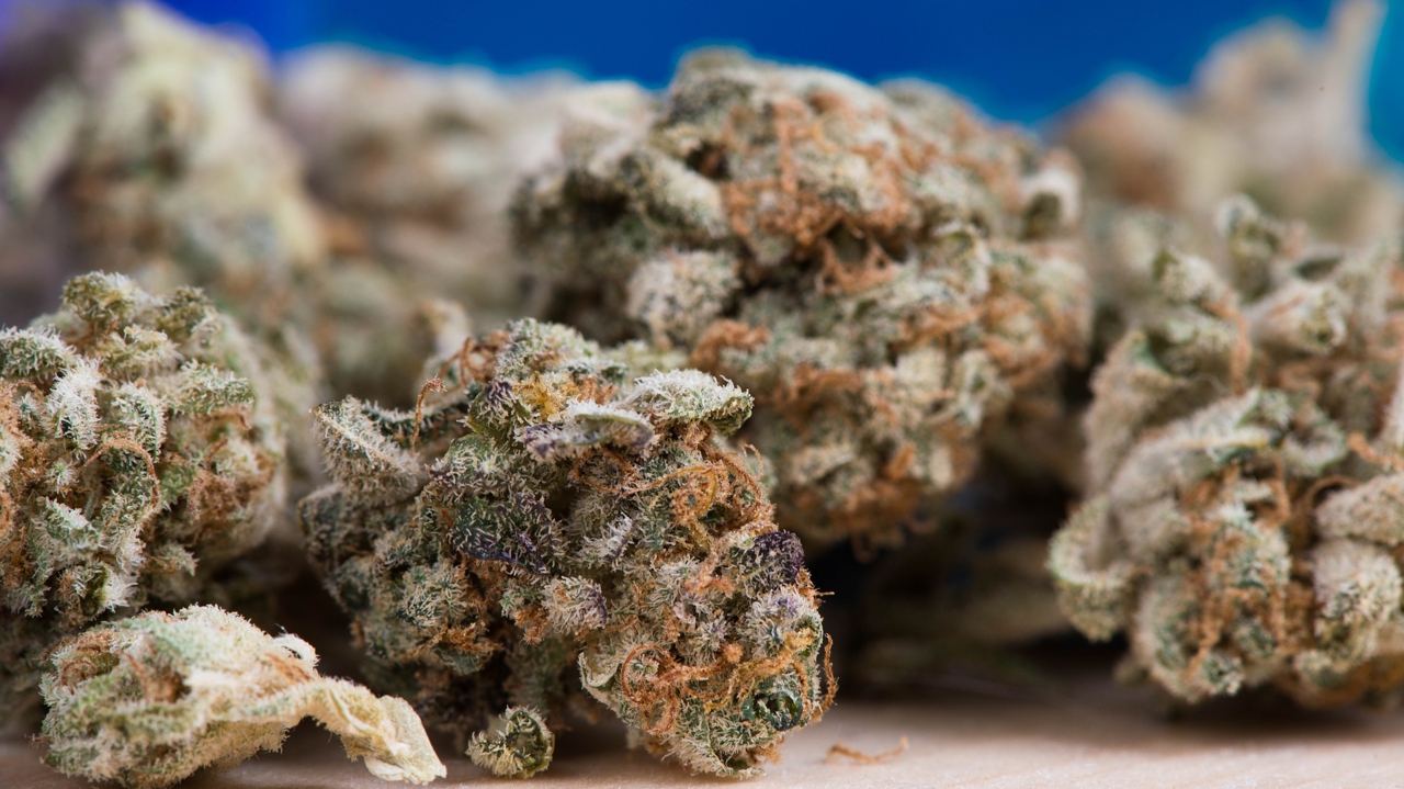 Une serveuse de Niort interpellée près de Nantes avec 31 kg de cannabis maintenue en prison