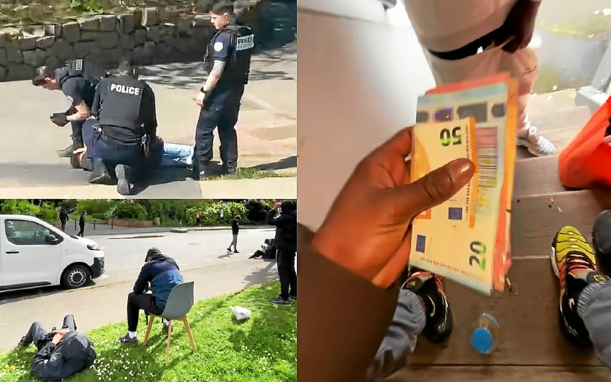 Des centaines de milliers de vues : à Rennes, l’inquiétant succès des vidéos de dealers sur TikTok