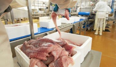 Intermarché annonce des cessions d’usines, les sites de Lanester et Clohars-Carnoët concernés