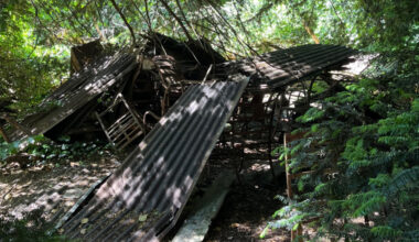 Une vieille décharge sauvage dans le parc de la Tête d’Or à Lyon ? Cet élu alerte les Verts pour agir