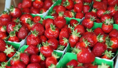 Ces fraises, vendues dans toute la France, ne doivent pas être consommées