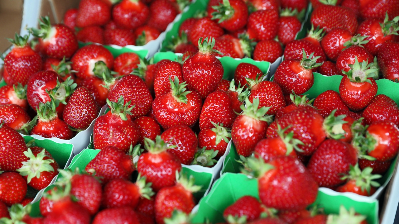 Ces fraises, vendues dans toute la France, ne doivent pas être consommées