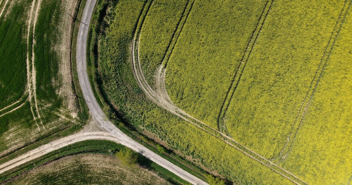 les paysans excédés par ces rodéos sauvages qui saccagent leurs champs