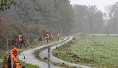 Les chasseurs veulent arrêter de payer pour les sangliers – Libération