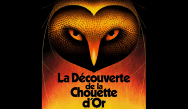 ce que révèle le film sur la chasse au trésor, diffusé au cinéma ce vendredi soir