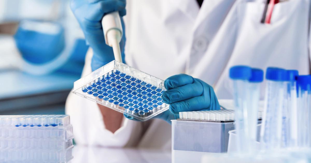 une nouvelle molécule capable de détruire des cellules résistantes à la chimiothérapie