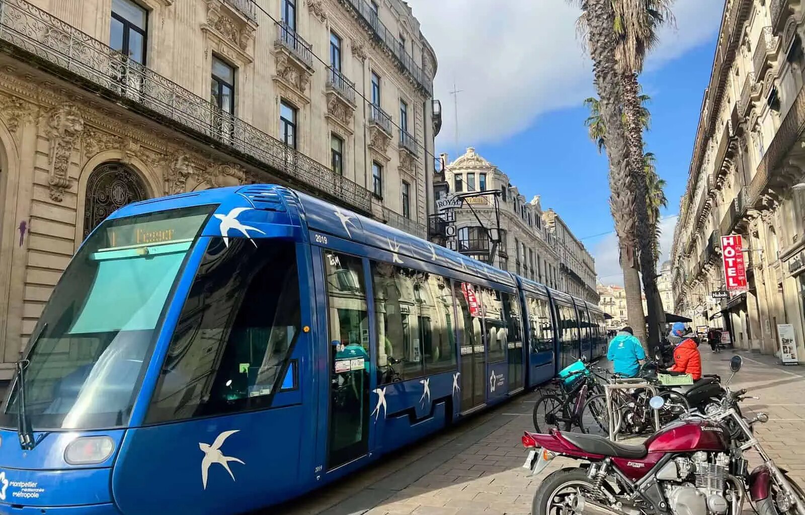 violence dans le tram, quand une simple remarque vire à l’agression