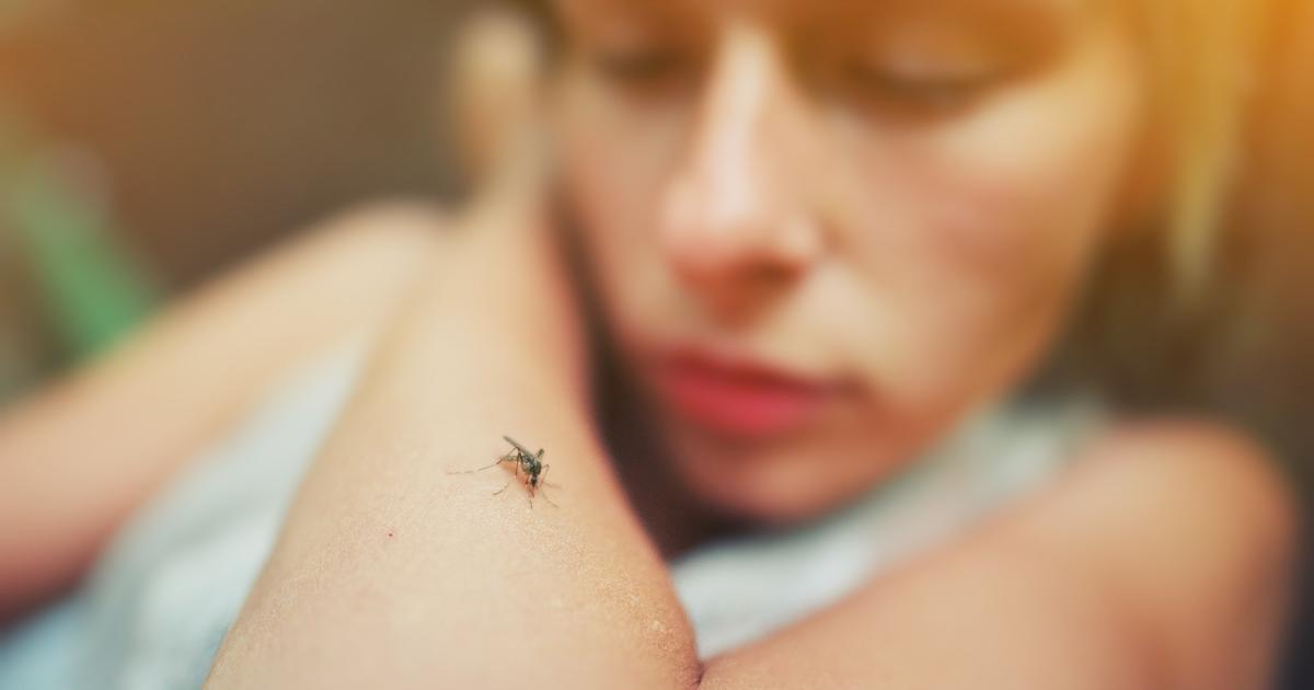 « Des douleurs atroces aux articulations et l’impression de m’être fait tabasser » : sauriez-vous reconnaître le chikungunya ?