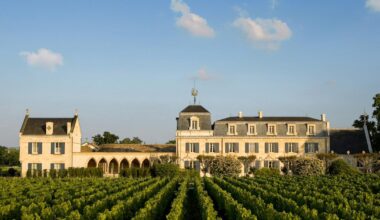ces 15 vins blancs secs qui valent vraiment le détour