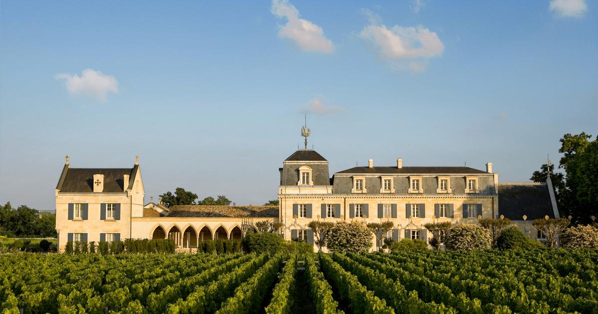 ces 15 vins blancs secs qui valent vraiment le détour