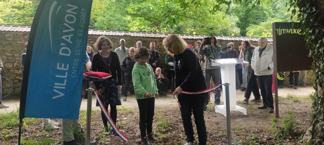 la première forêt cinéraire d'Île-de-France est née en Seine-et-Marne