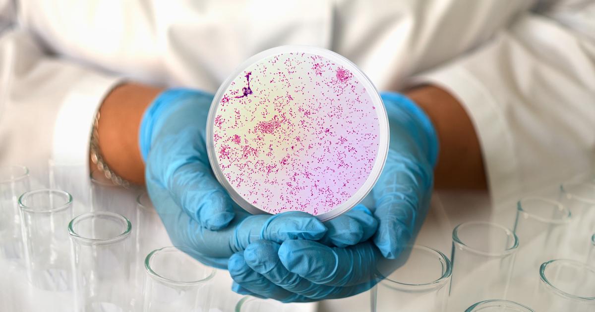 Comment ce vaccin contre la méningite protège aussi contre la gonorrhée