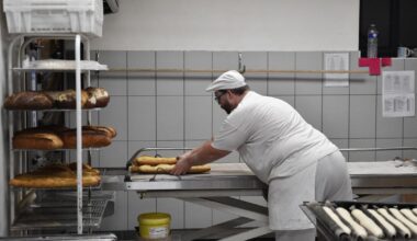 L’inquiétante destruction de l’emploi à bas bruit dans les petites entreprises