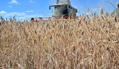 L'UE rétablit les quotas et droits de douane sur les produits agricoles ukrainiens faute d'accord avec Kiev