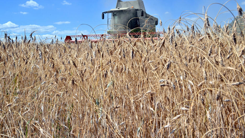 L'UE rétablit les quotas et droits de douane sur les produits agricoles ukrainiens faute d'accord avec Kiev