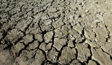 La région Hauts-de-France connaît un déficit de pluie jamais vu depuis 1959