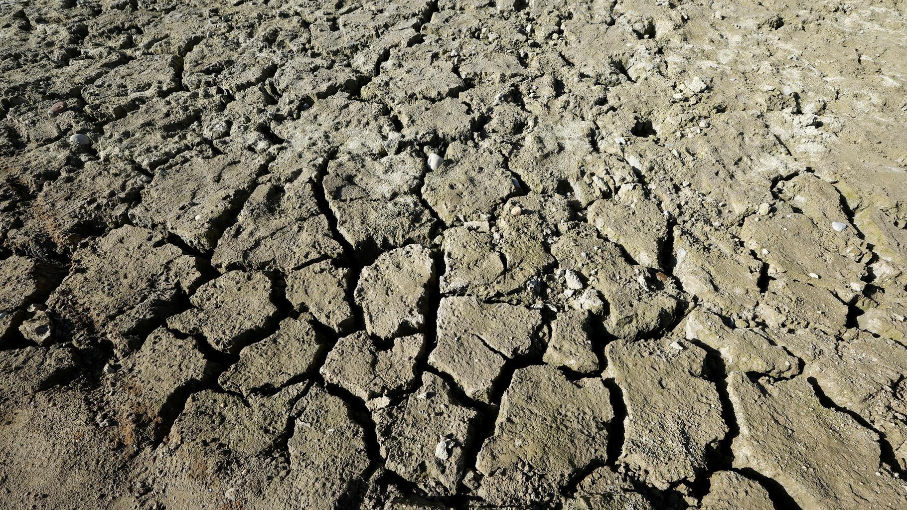 La région Hauts-de-France connaît un déficit de pluie jamais vu depuis 1959