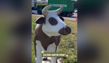 Près de Rouen, le rond-point des vaches retrouve ses statues sept ans après leur destruction par les gilets jaunes