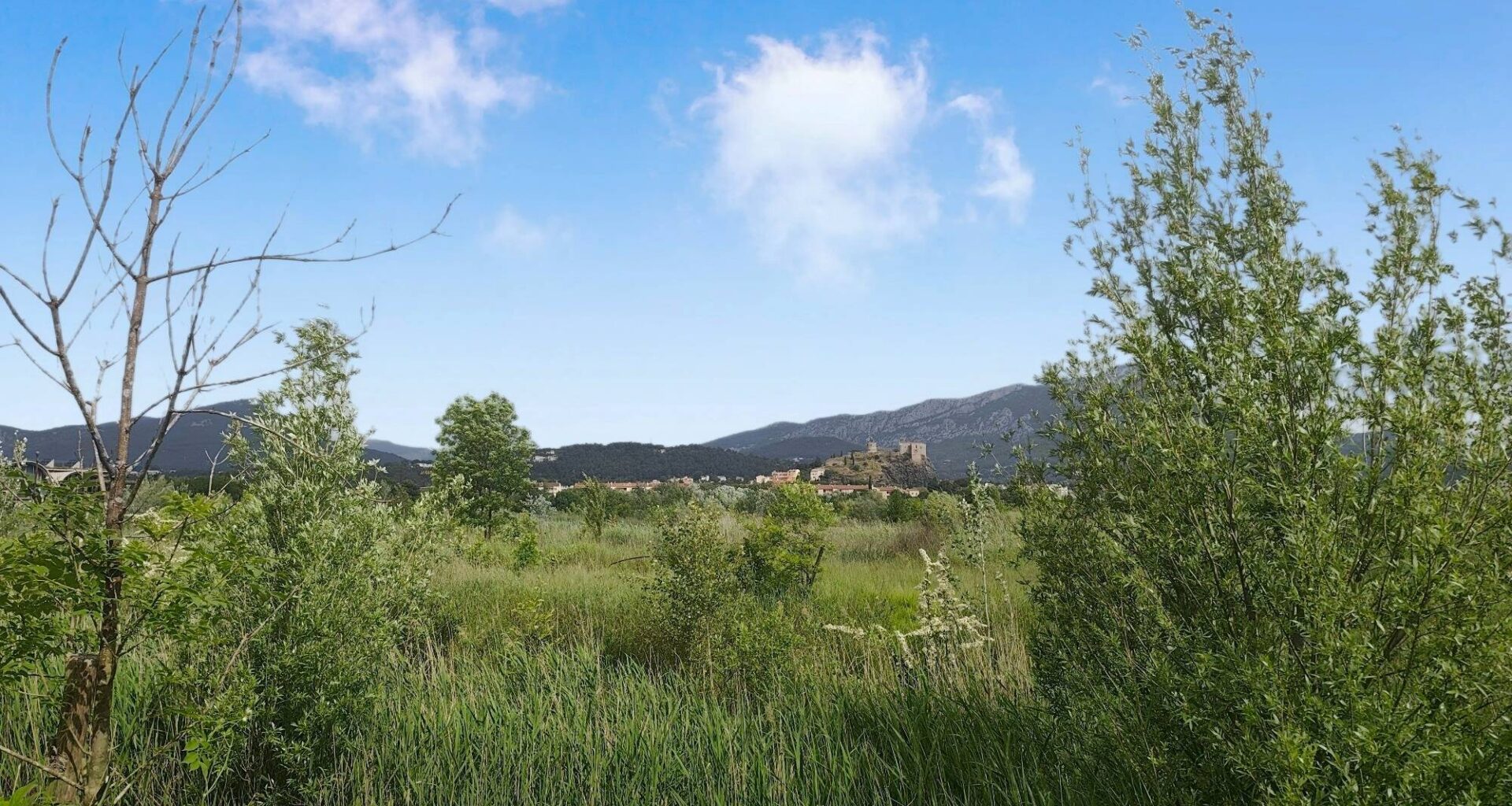 Journée de sensibilisation à la nature samedi 17 mai à La Garde