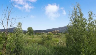 Journée de sensibilisation à la nature samedi 17 mai à La Garde