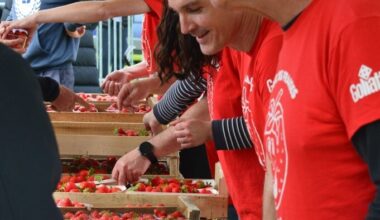 Des milliers de fraises au menu de cette fête emblématique près de Nantes
