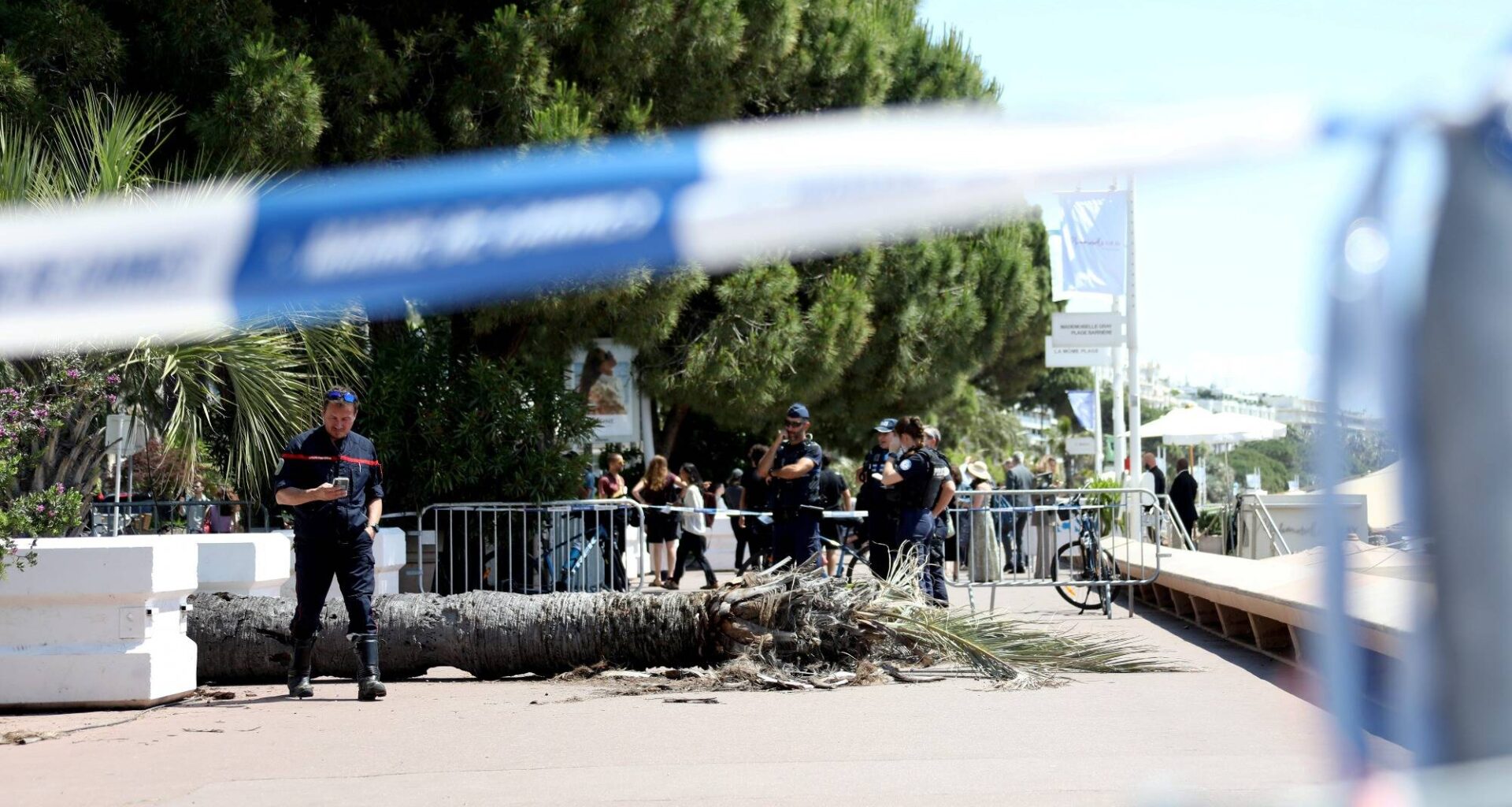 Un palmier tombe sur La Croisette durant le Festival de Cannes: un blessé grave évacué par les pompiers