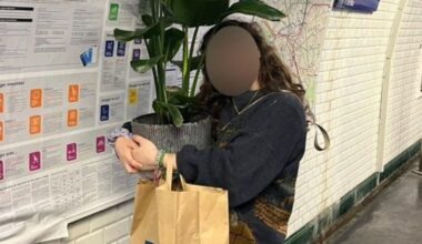 Paris : 150 euros d’amende pour avoir transporté… une plante dans le métro