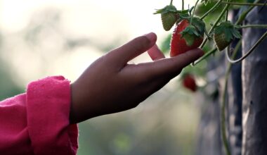 # Campagne PlanThealth4Life: la protection de la santé des plantes dans l'UE