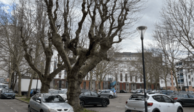 LA MUNICIPALITÉ VEUT SUPPRIMER ARBRES, STATIONNEMENT ET FERMER LE QUARTIER