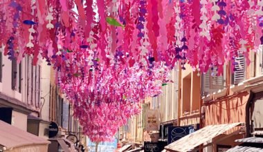Plus de 50 000 visiteurs attendus ce week-end au festival Just'Rosé à Sanary