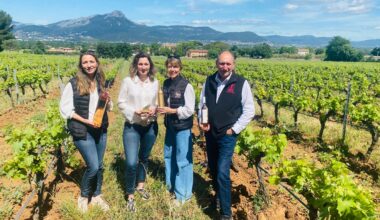 Produit en famille, ce rosé varois est le meilleur du monde selon les Vinalies