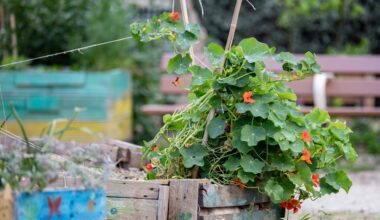La ville de Toulon accueille les 48h de l’agriculture urbaine ce week-end: des activités gratuites et ouvertes à tous