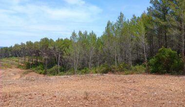Une vaste opération visant à défricher une trentaine d’hectares au Beausset inquiète certains riverains