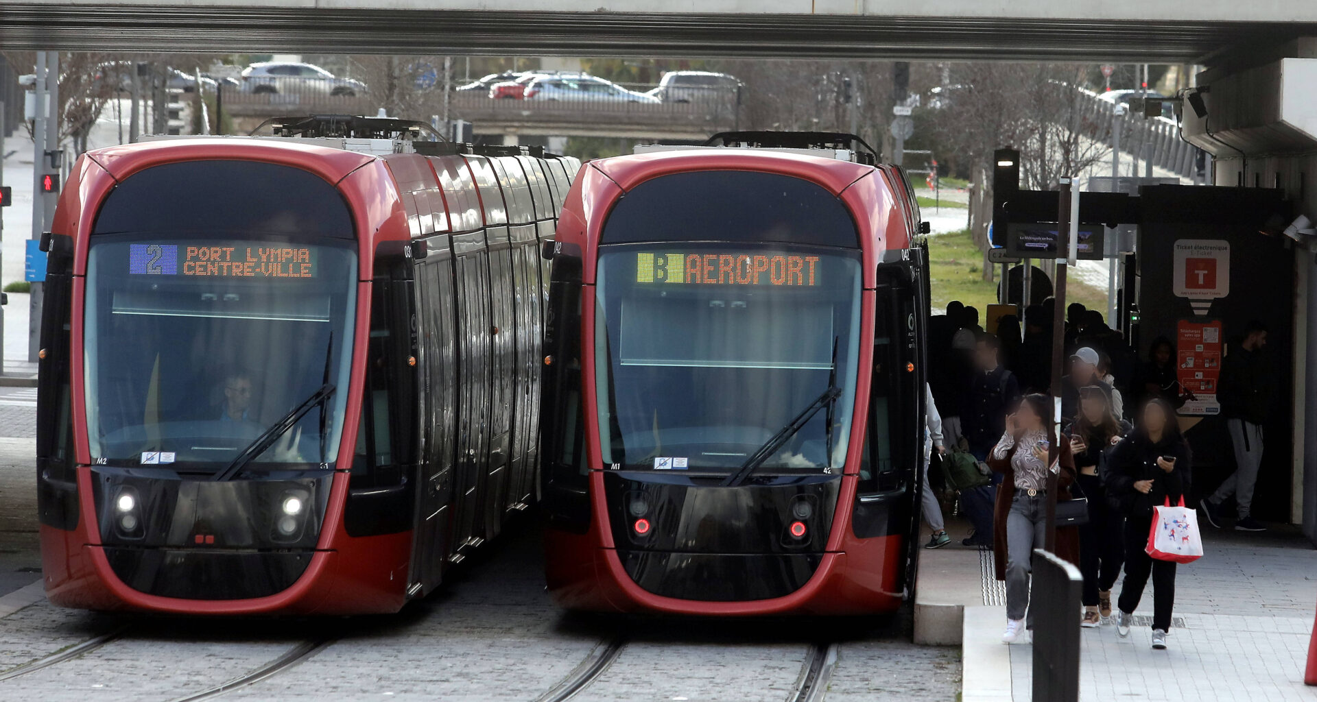 Bus et trams gratuits pour les moins de 11 ans dans la métropole Nice-Côte d’Azur: voici comment bénéficier de cette mesure sur le réseau Lignes d’Azur