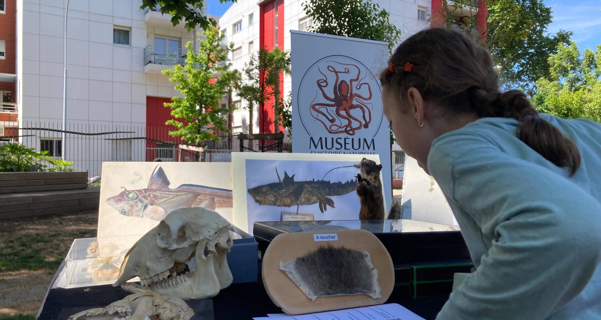 "Muséum itinérant": c’est quoi ce vélo cargo qui sillonne les jardins publics de Nice?
