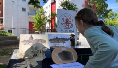 "Muséum itinérant": c’est quoi ce vélo cargo qui sillonne les jardins publics de Nice?