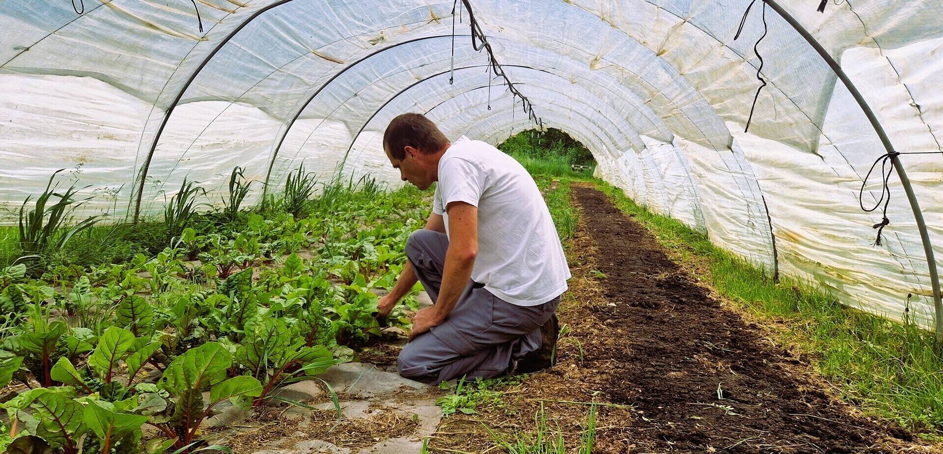 Ce Niçois a tout plaqué pour réaliser son rêve de gosse: monter sa ferme bio dans l’arrière-pays
